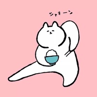 糖心记录仪